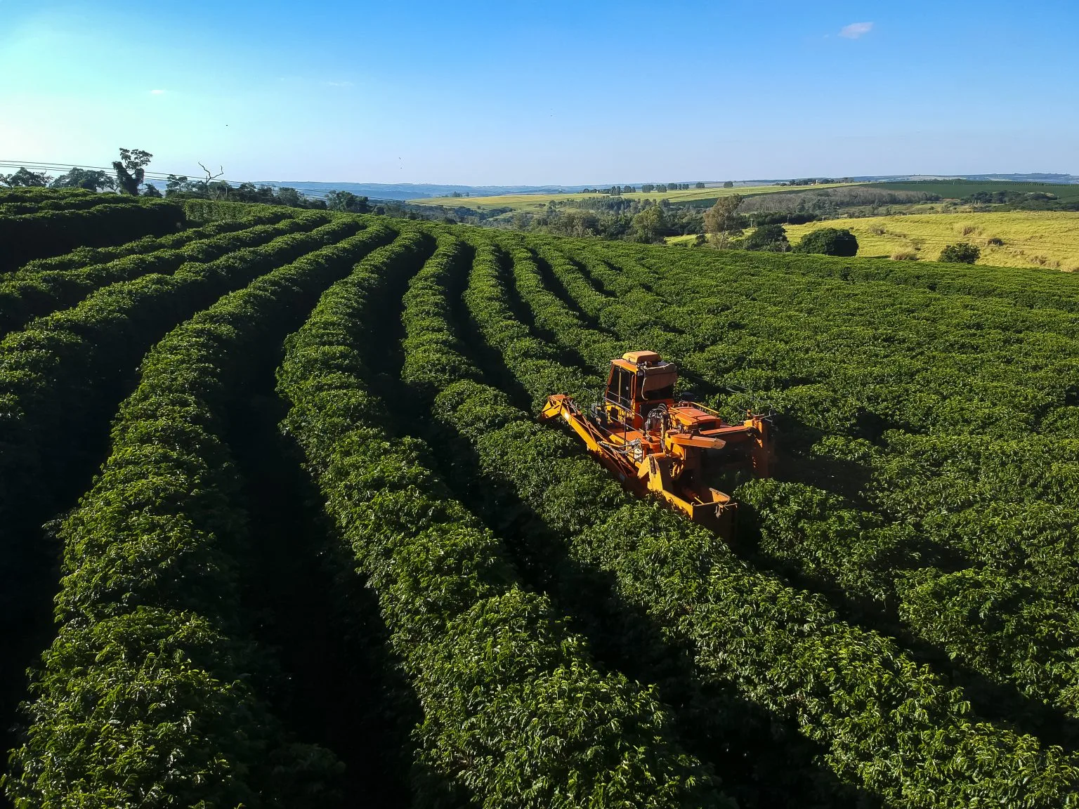 Agropecuária cresce 7,4% em 2024 e impulsiona o PIB do Espírito Santo, aponta Findes