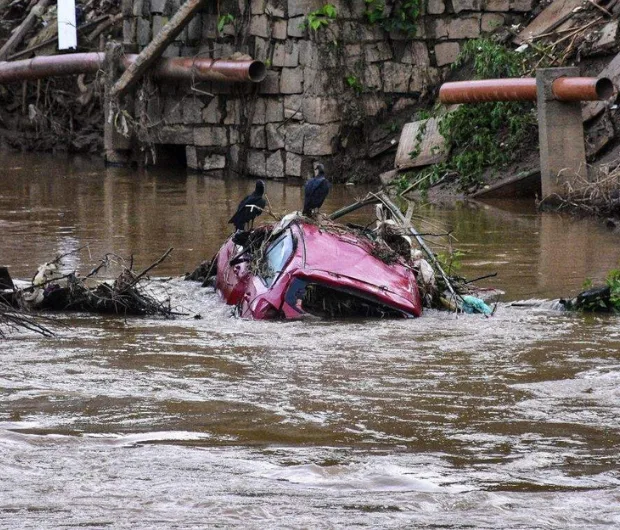 Foto: Thiago Soares/ Folha Vitória