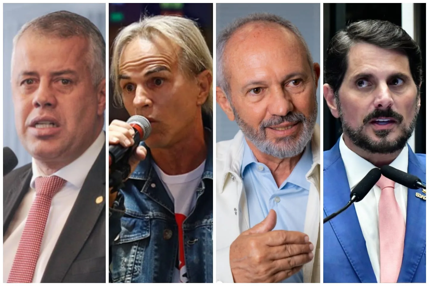 Evair, Meneguelli, Hartung e Do Val podem disputar o Senado no ano que vem 