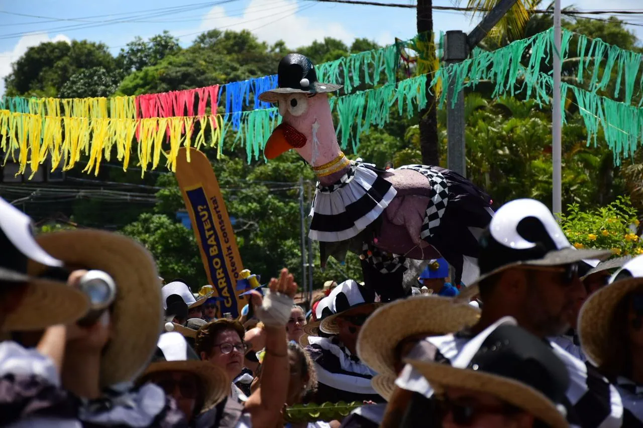 carnaval ES - Bloco de rua manguinhos