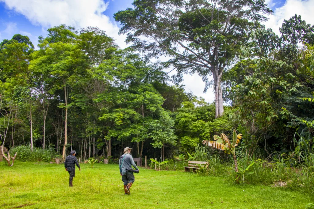 A imagem mostra a equipe do Instituto Últimos Refúgios durante uma visita técnica em Aracruz, realizando o trabalho de campo e capturando imagens da biodiversidade local