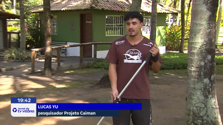 Em 24 horas, três jacarés são resgatados em Vitória