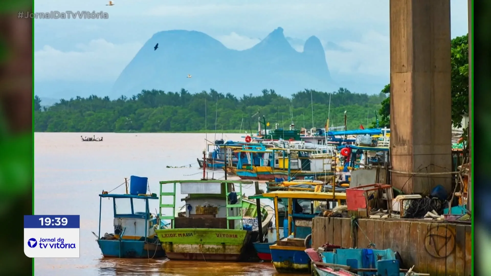 Documentário revela ecossistema do rio Itapemirim e sua preservação