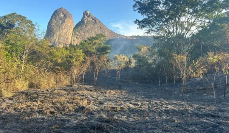 Monumento pegou fogo na tarde de quinta

Reprodução/Iema