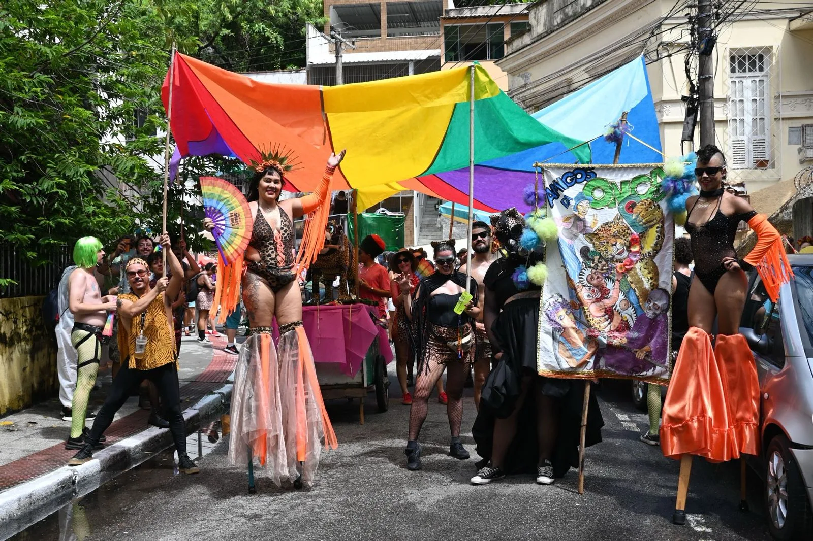 Bloquinho "Amigos da Onça"/Foto: Thiago Soares, Folha Vitória