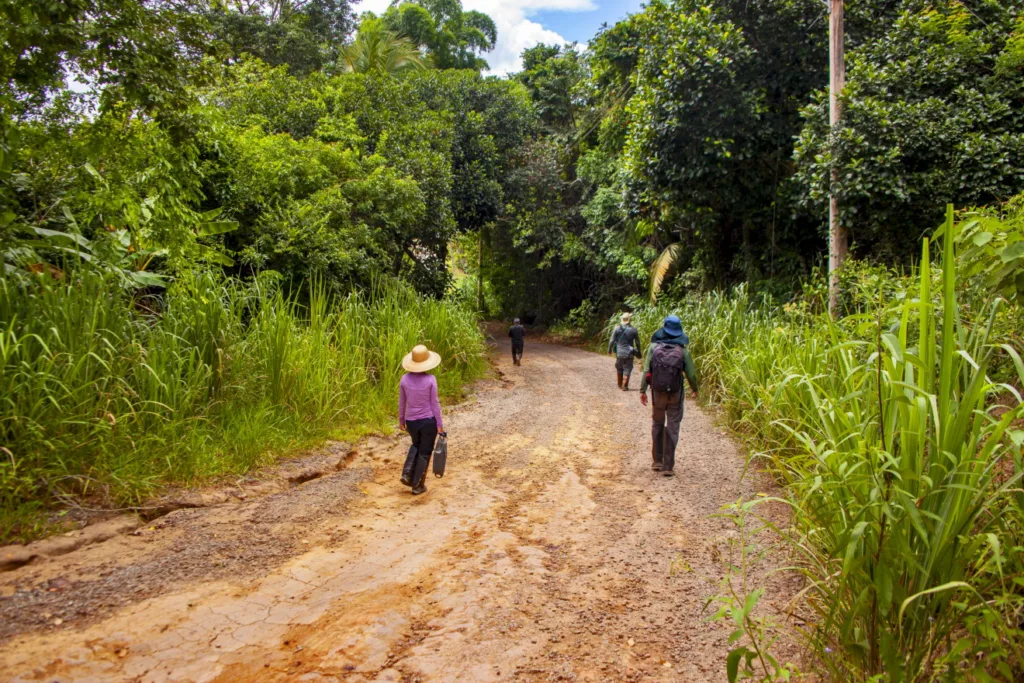 A imagem mostra a equipe do Instituto Últimos Refúgios durante uma visita técnica em Aracruz, realizando o trabalho de campo e capturando imagens da biodiversidade local