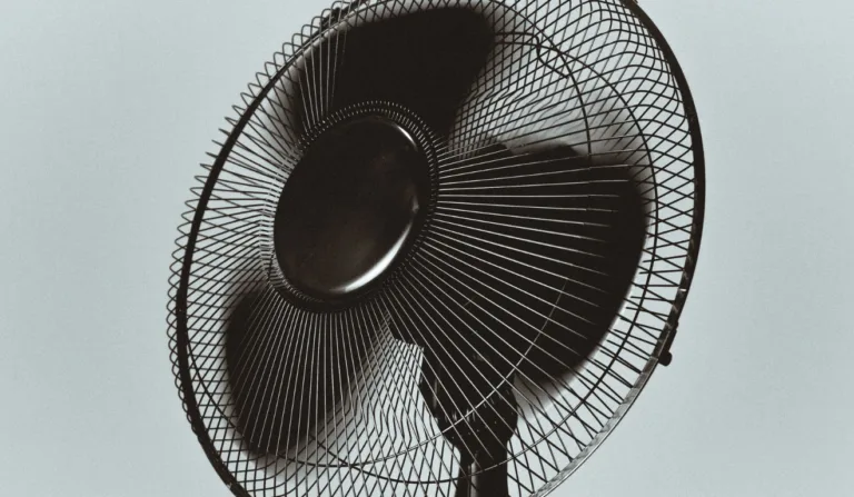 Ventilador/Reprodução