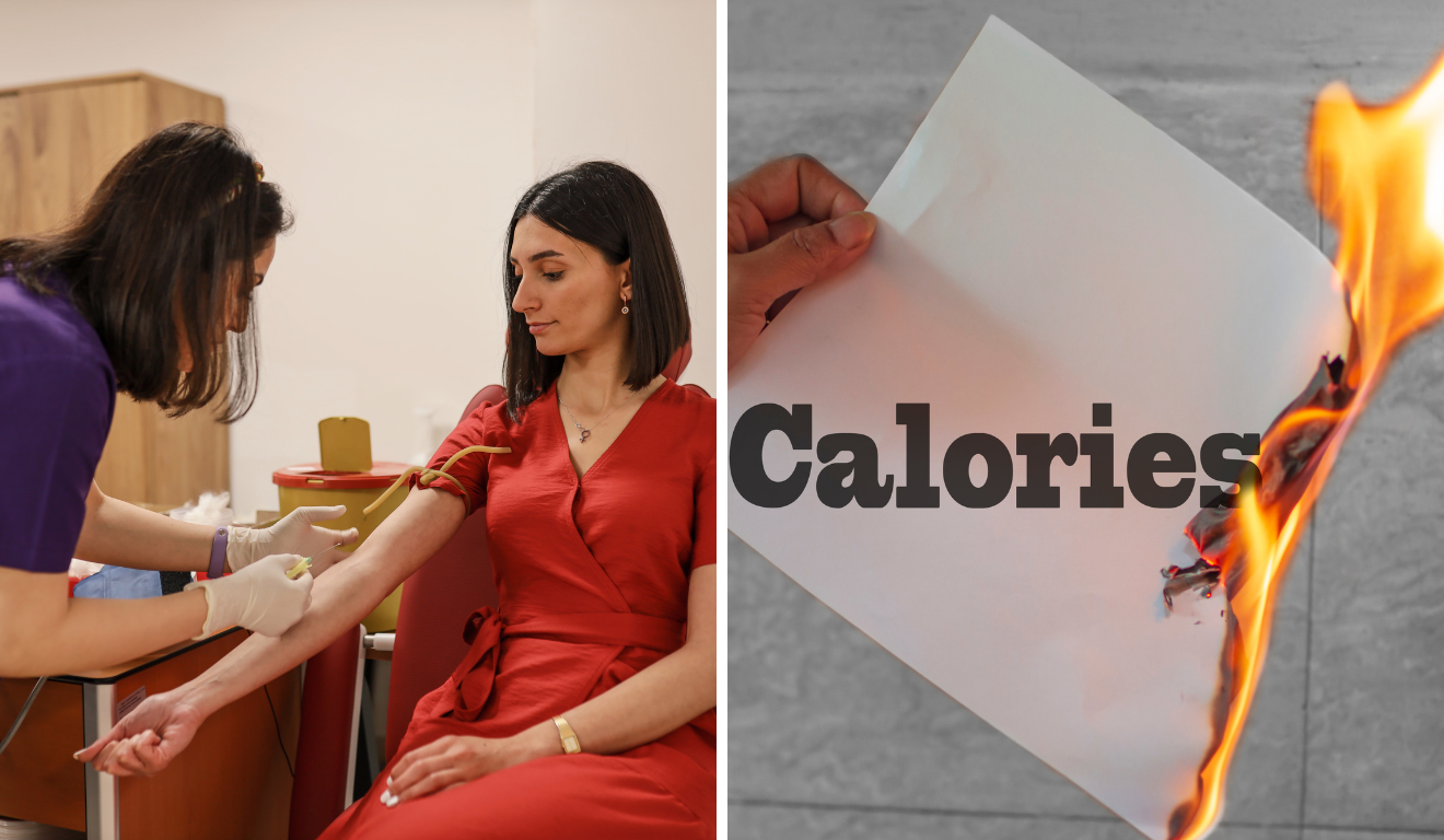 Doar sangue pode queimar calorias/Reprodução