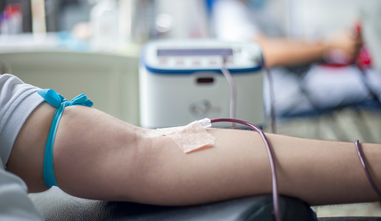 Doar sangue/Reprodução