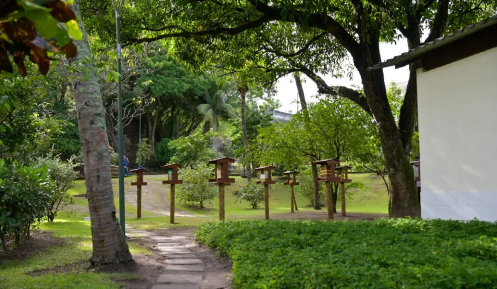 O circuito sensorial ambiental de Vitória é o 1° do país