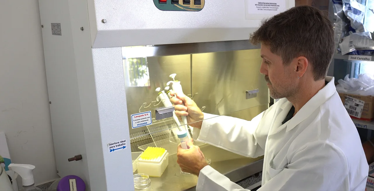 Pesquisa capixaba reduz tempo de avaliação da fertilidade de touros e impulsiona reprodução bovina