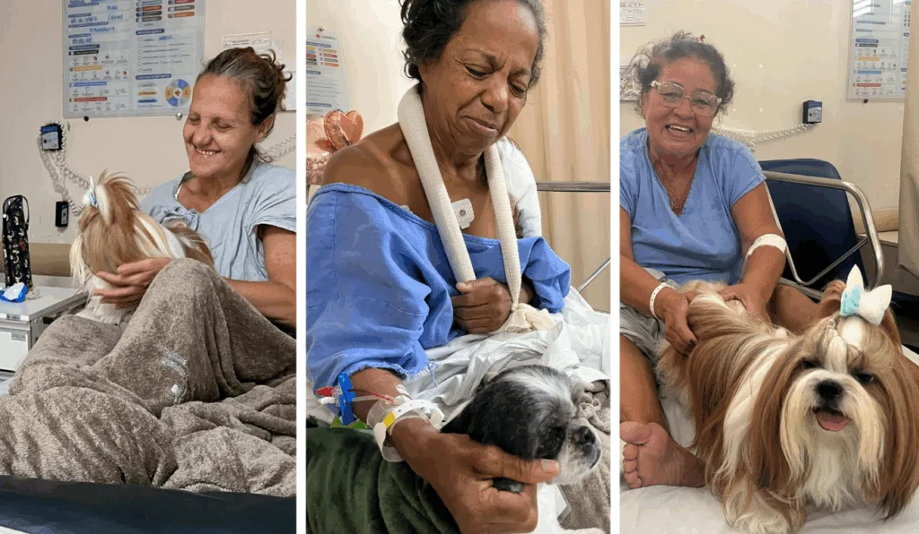 Pet terapia Dr. Jayme Pet terapia Dr. Jayme