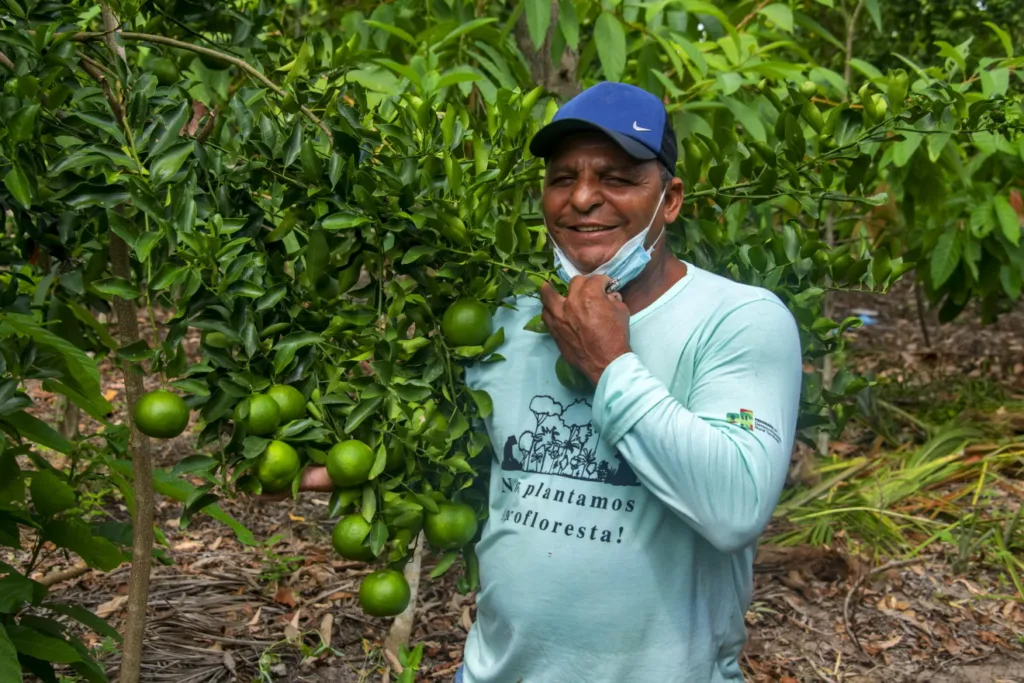 Agricultor mostra frutos abundantes cultivados em sistema agroflorestal