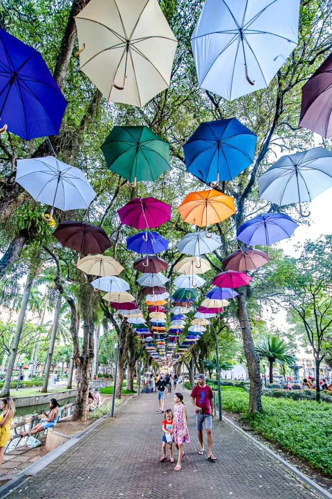 Decoração Parque Moscoso