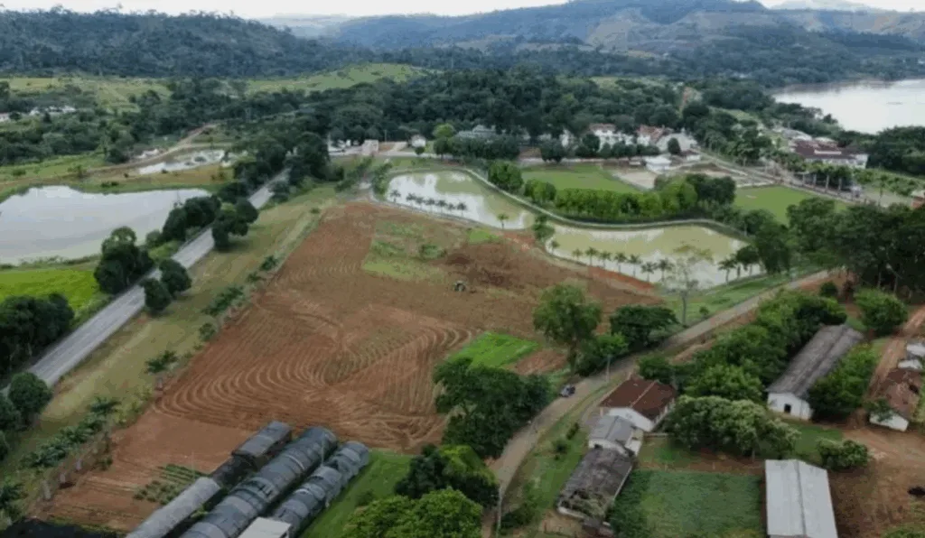 Imagem da matéria