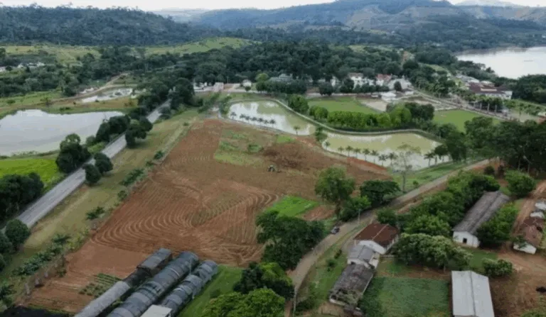 (Foto: Reprodução)