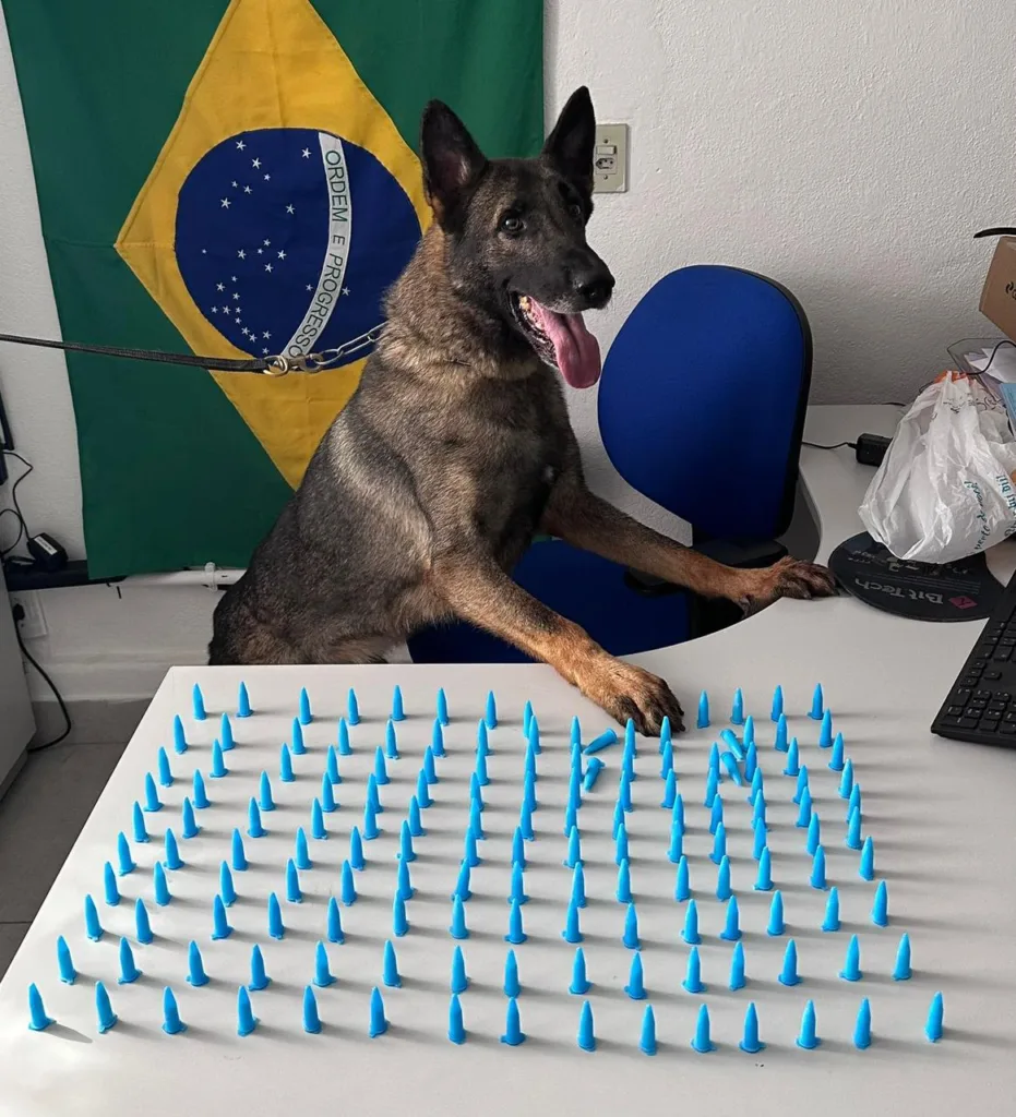 Traficante que trabalhava para facções e ameaçava moradores é preso em Santa Maria de Jetibá