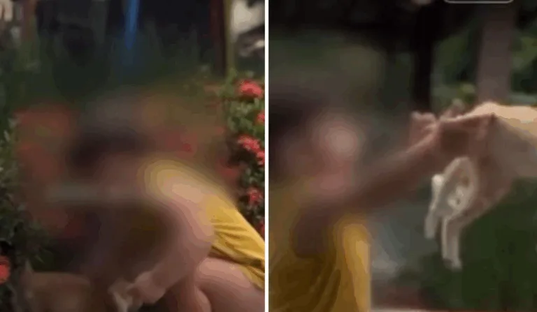 Bebê é incentivado pela mãe a arremessar gato para o alto no ES