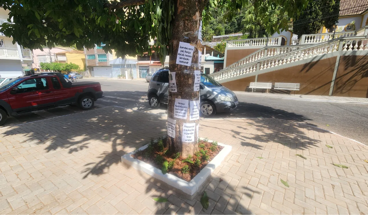 Pé de jambo em Domingos Martins