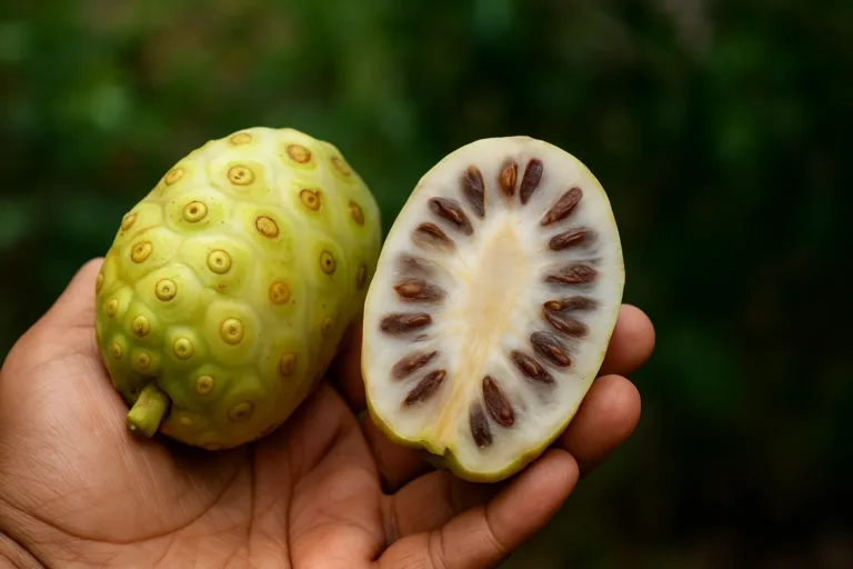 noni, fruta vômito