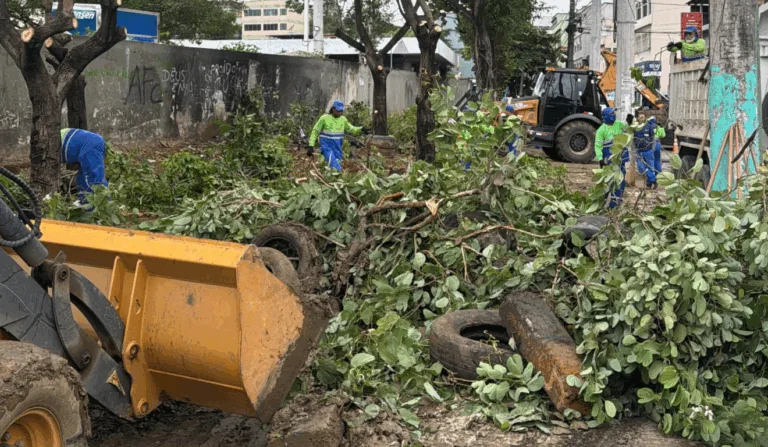 Barracas foram retiradas