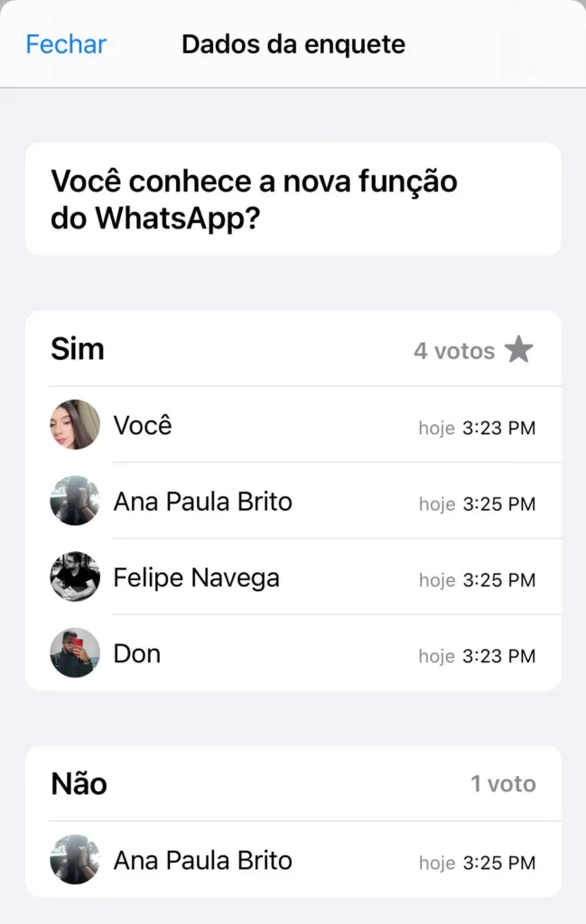 Enquete Whatsapp