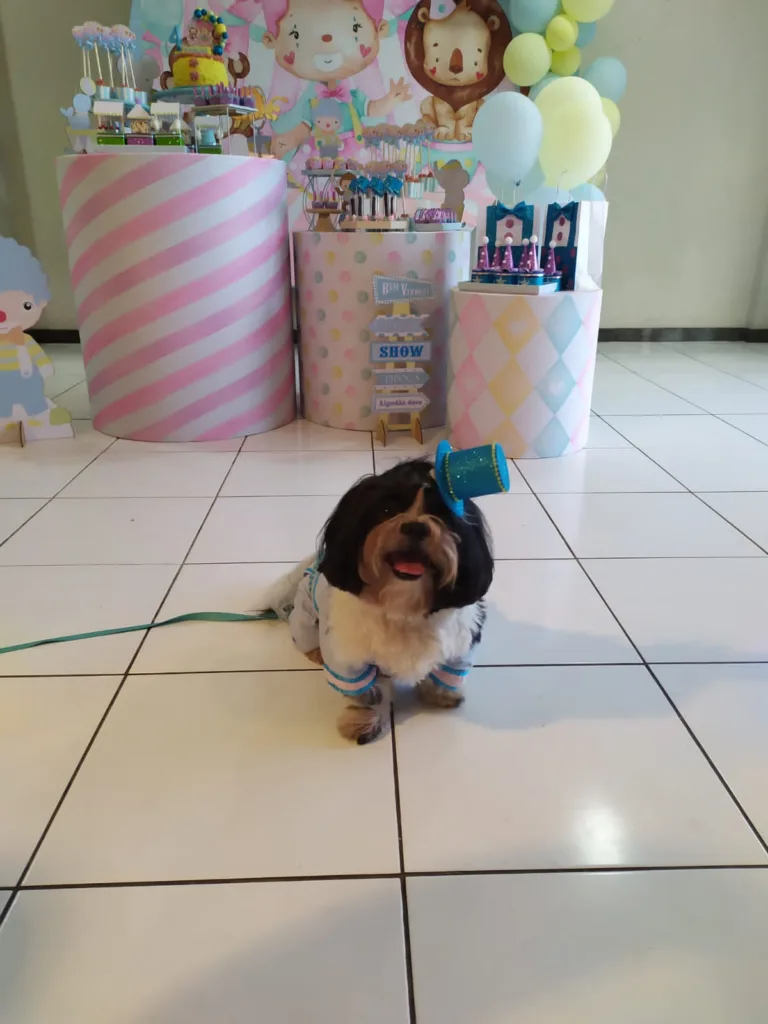 Wanessa Pinto, tenho 40 anos é jornalista e faz festa para os cachorros dela