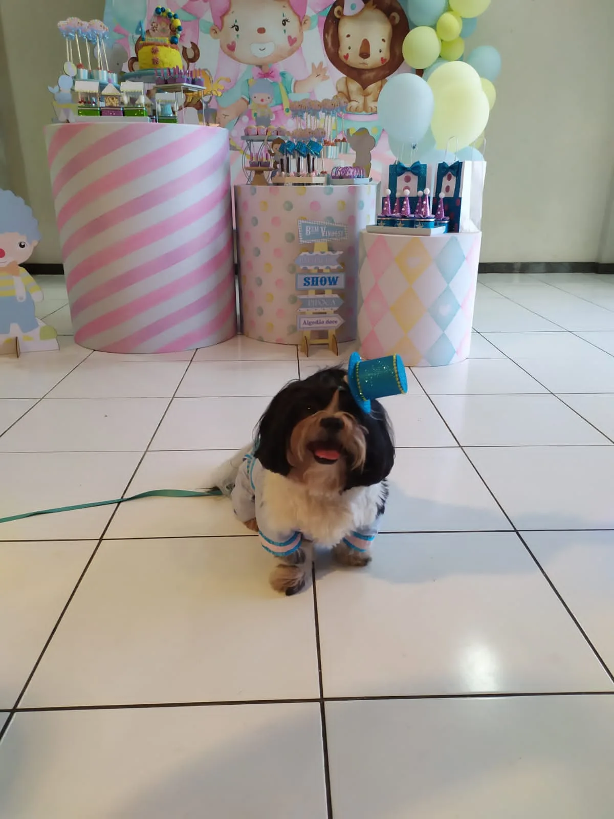 Wanessa Pinto, tenho 40 anos é jornalista e faz festa para os cachorros dela