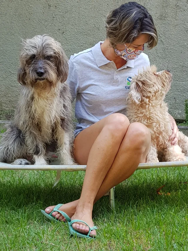 'Safe pets'