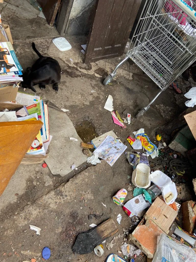 Cachorro vítima de maus tratos é resgatado em casa de Maria Ortiz, em Vitória