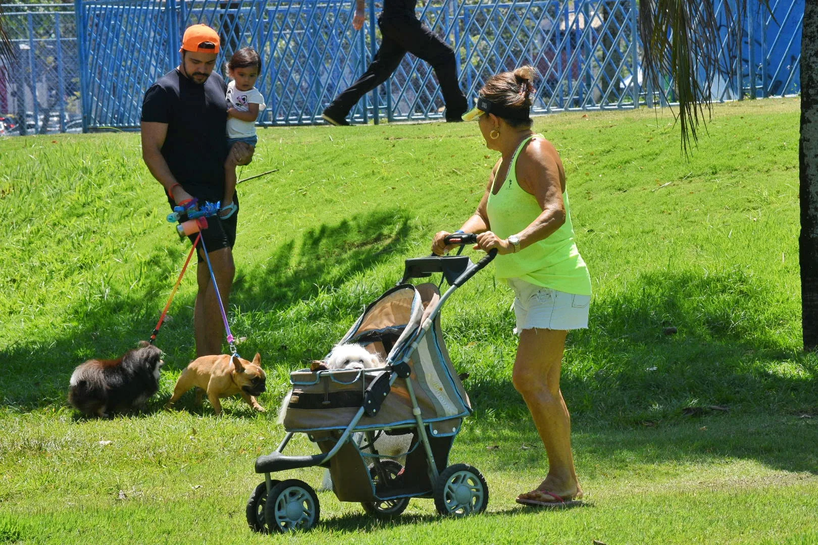 Onde calor no ES neste domingo