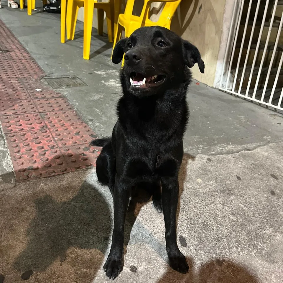 Ubaldinho