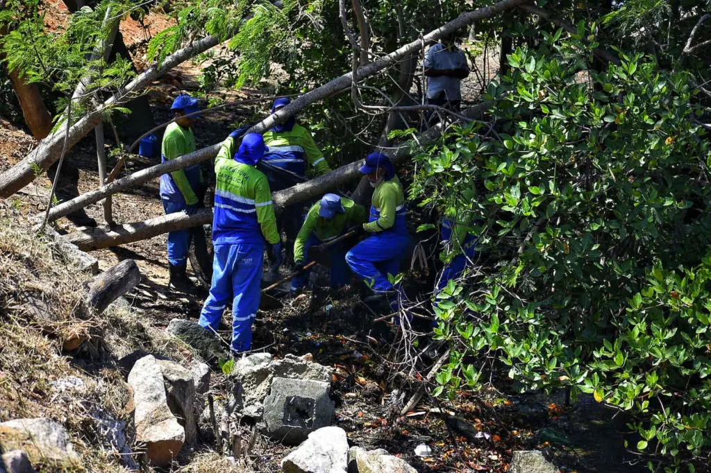 Limpeza da área de preservação da orla