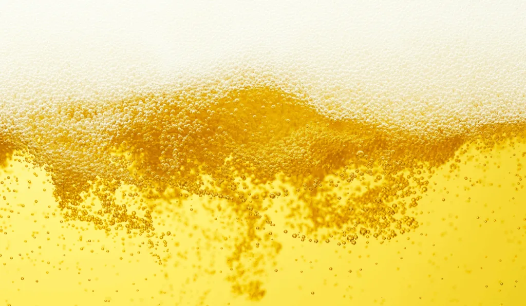 Cerveja/Reprodução