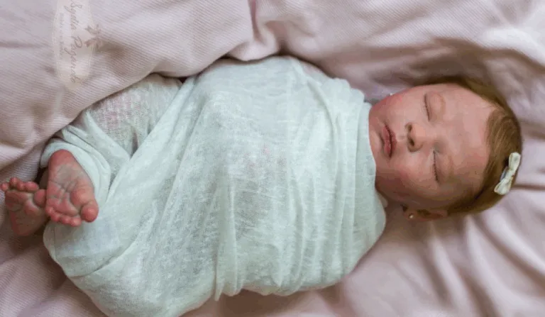 Febre dos bebês reborn