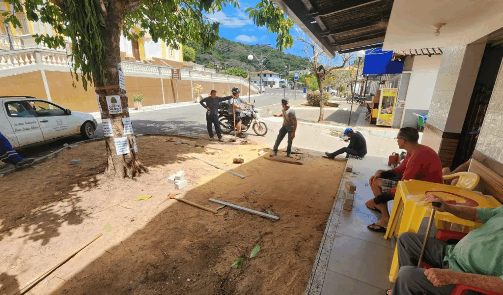 Pé de jambo em Domingos Martins