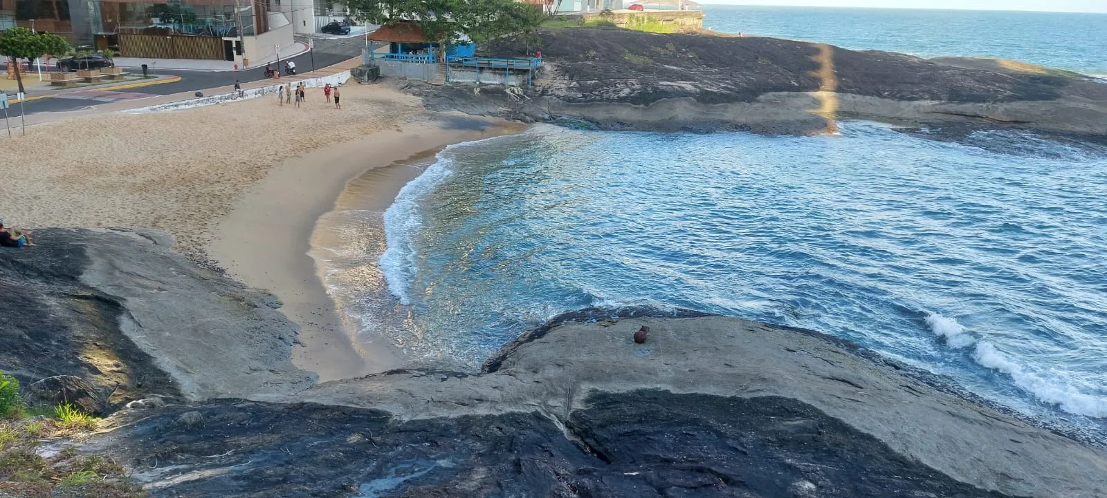 capivara na praia