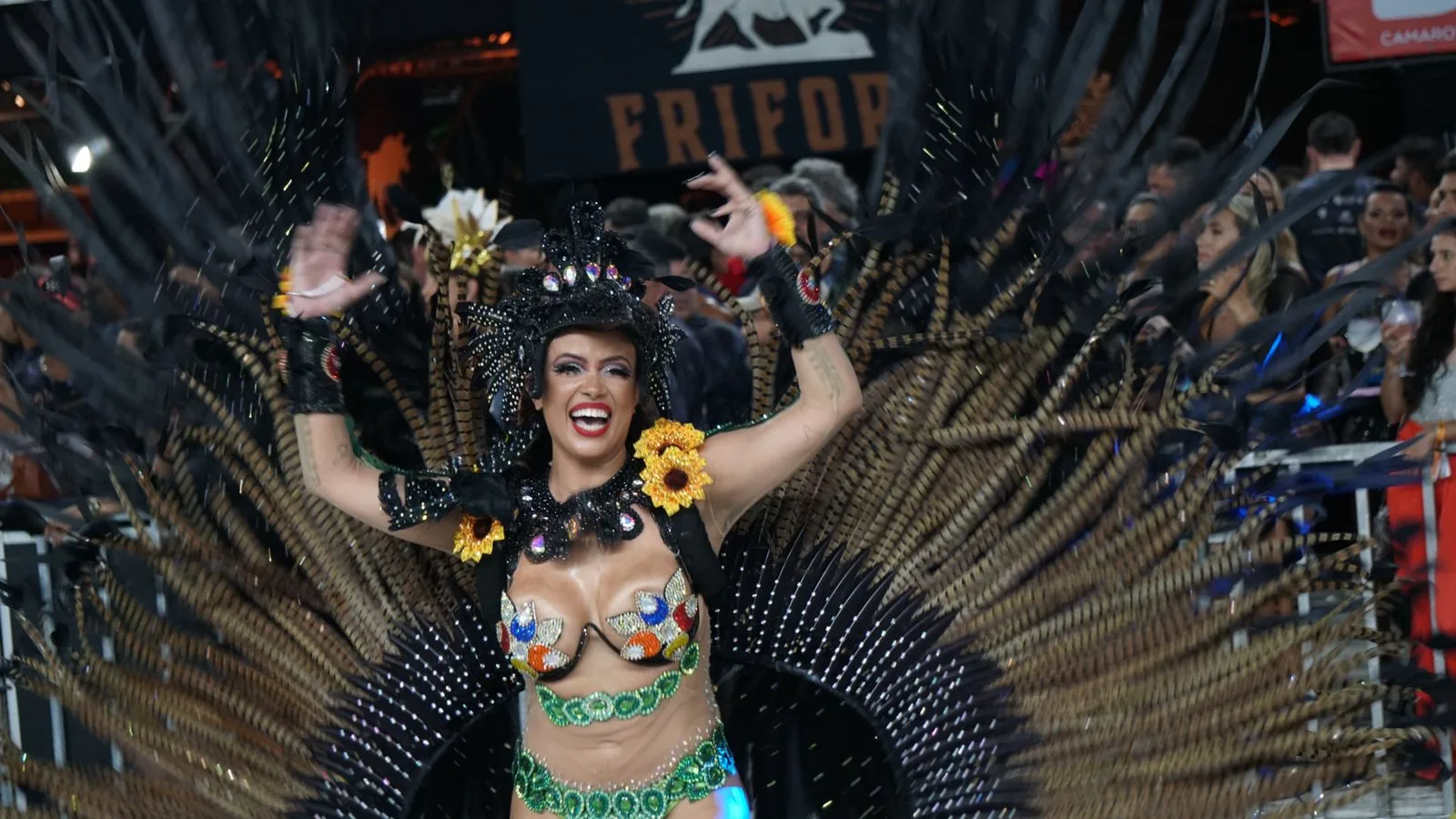 Carnaval 2024 - Boa Vista - Desfile