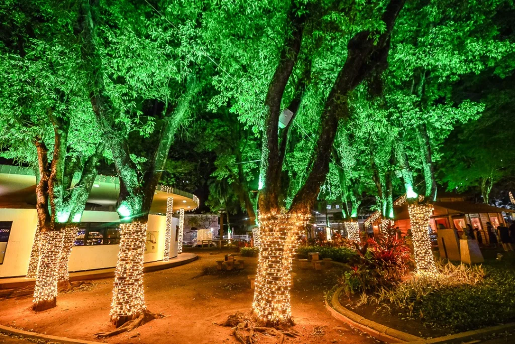 Natal da Gente