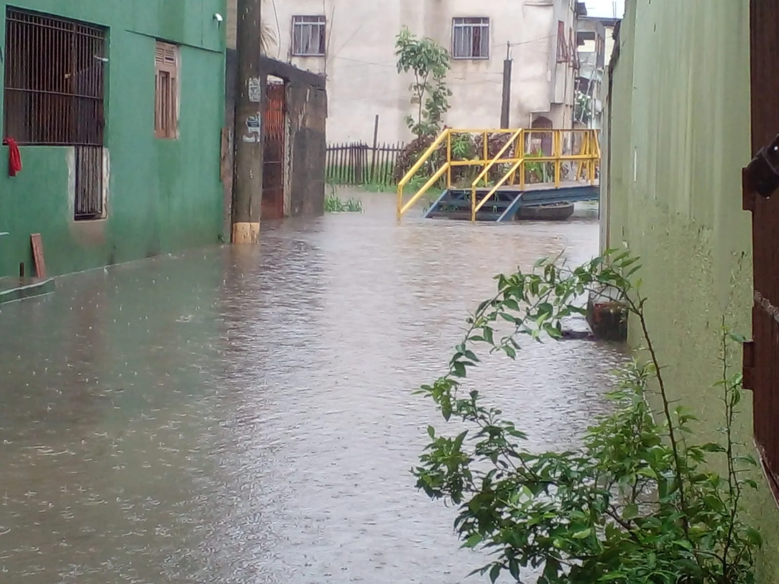 ITACIBA 03.12
