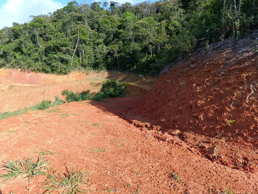 Idaf inicia operação contra desmatamento ilegal em Guarapari
