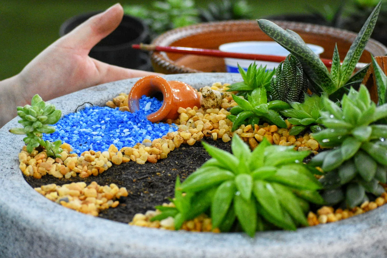Feira Sabores da Terra