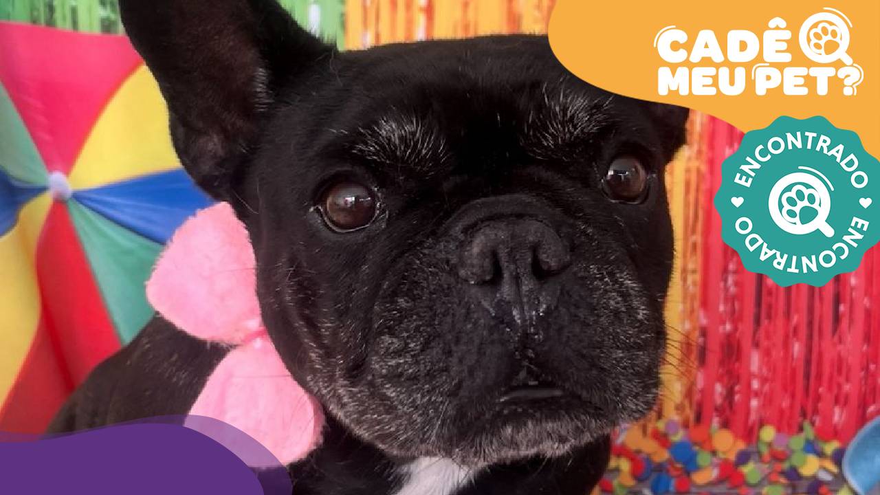 Naya é encontrada! (Foto: arquivo pessoal)