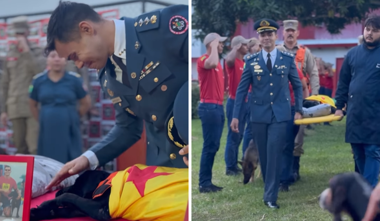 Cadela recebe homenagem após morte