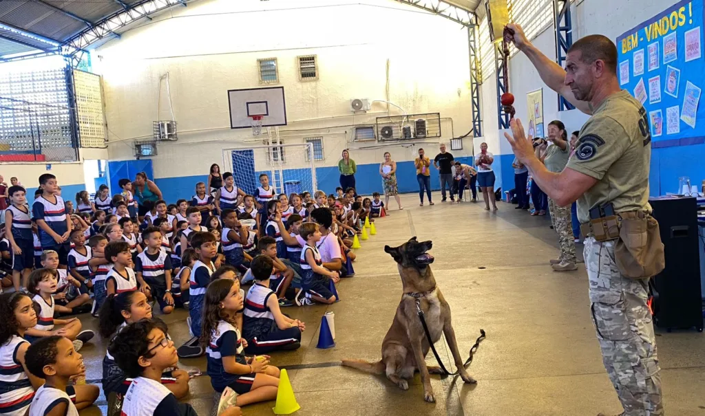 Projeto - Patrulha canina