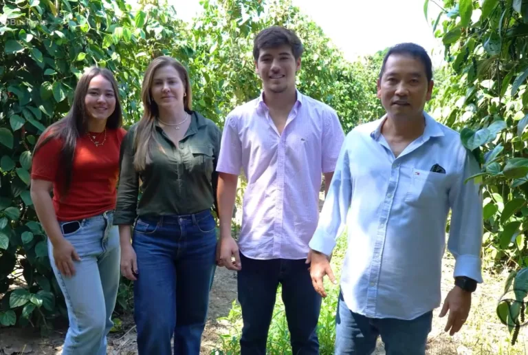 Produtores do Espírito Santo apostam em estufas e moringa para fortalecer a produção de pimenta-do-reino
