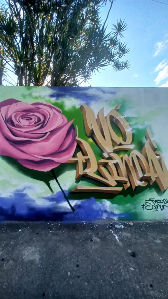 Muro da Vó Linda