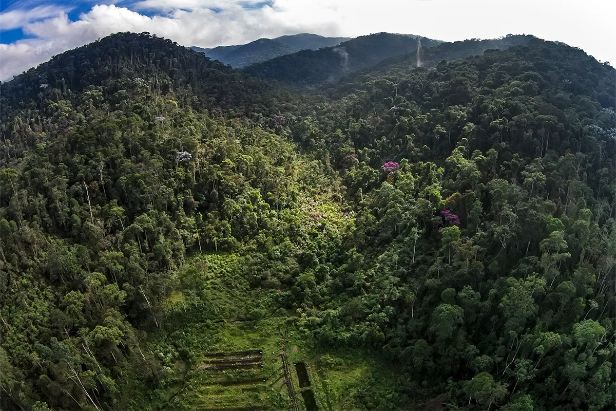 Reserva Águia Branca
