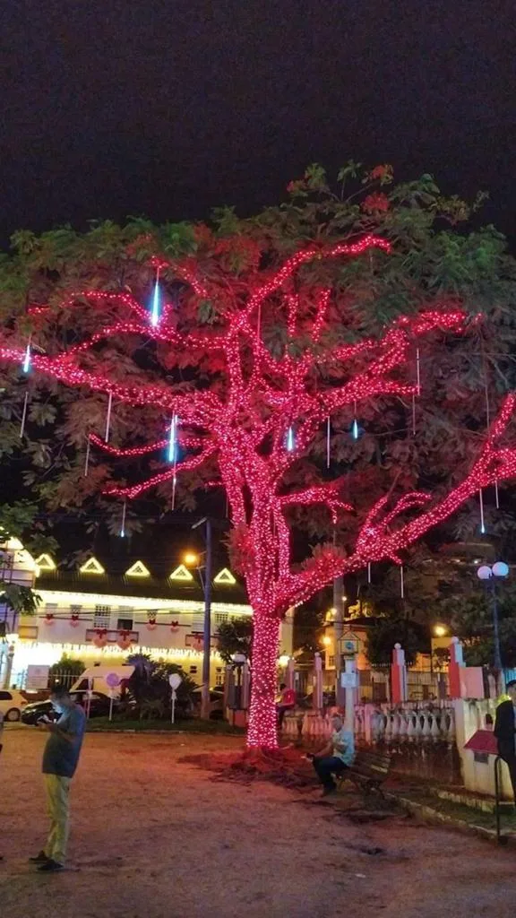 Brilho de Natal 2019