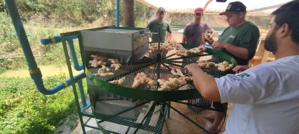 Patente do Ifes já foi testada no campo e vai beneficiar produtores familiares do Espírito Santo